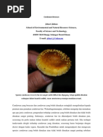 Download Cendawan Beracun by Johari Jalinas SN62952737 doc pdf