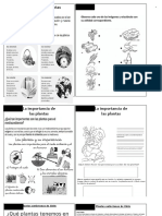 Guias Ciencias Las Plantas