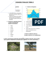 Act. Final T5-1ºeso