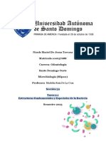 Tarea 2.1 Estructuras Fundamentales y Especiales de La Bacteria 99