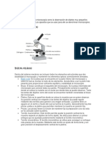 Investigación Previa Biotecnología 1