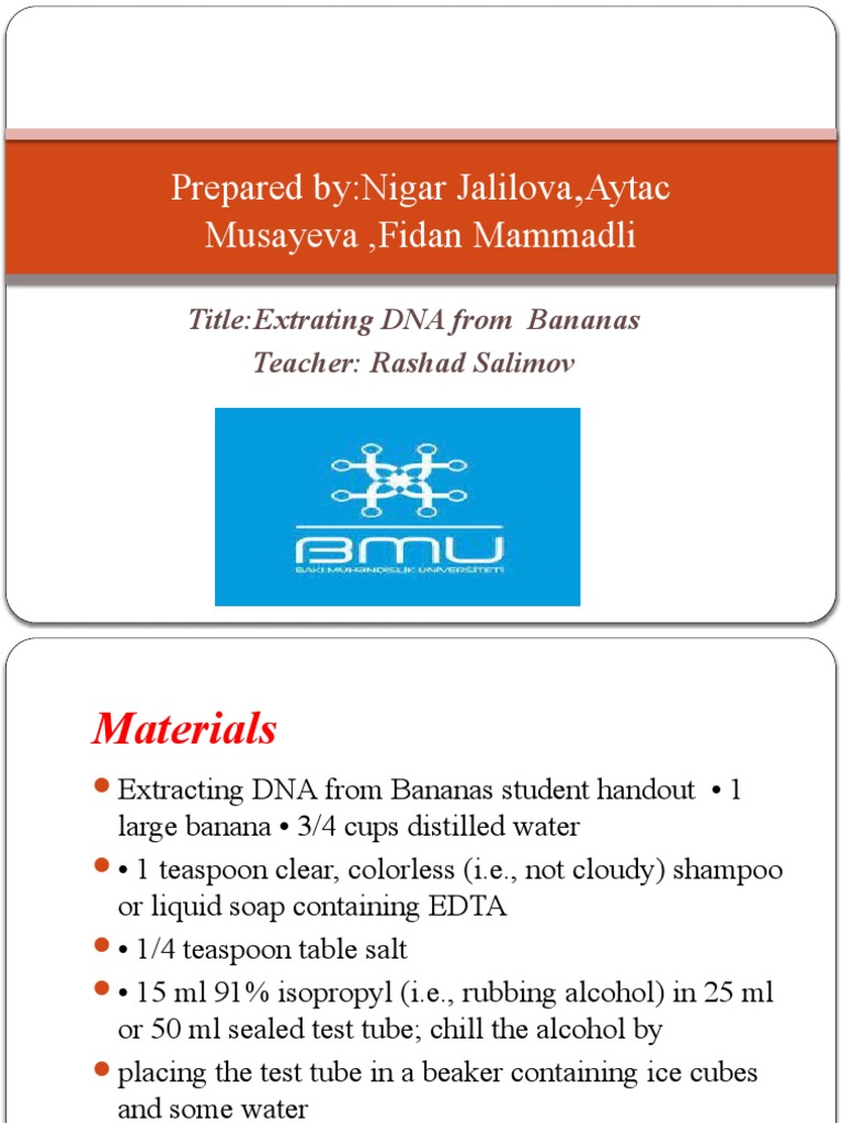 DNA Bananas PDF Teaspoon Filtration