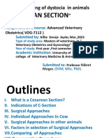 Handling of Dystocia in Animals by Cesarean Section