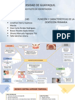 Odontopediatria Denticion Temporaria