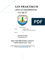 Ekosistem Lumut