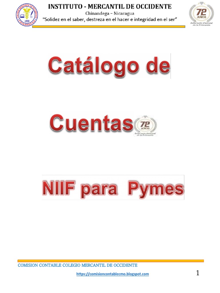 Catálogo de Cuentas NIIF PYMES | PDF | Contabilidad | Bancos