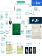 Mapa Quimica 234