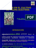 PDF Plagas de Palma Aceitera I 2013 Compress