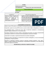 Informe Practicas Metalografia