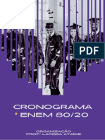 CRONOGRAMA  80-20  Enem 2022 - LARISSA ATAÍDE