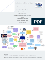 Fisiología Mapa Mental Visión