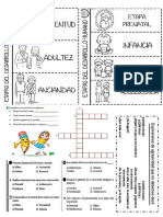 Sesion Etapas Del Desarrollo Humano