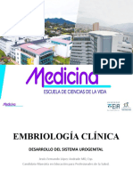 Embriología clínica del sistema urogenital