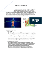 Sistema Linfático