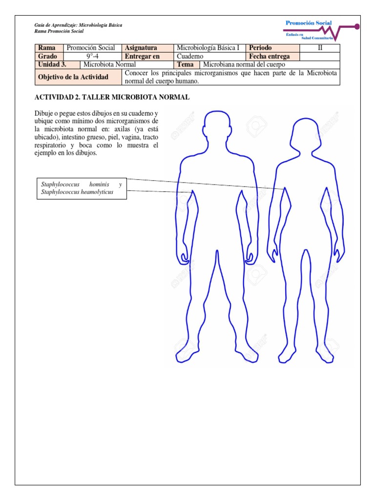 Microbiota Normal del Cuerpo Humano | PDF | Ciencia y matemáticas