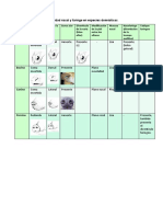 Cuadro Comparativo y Diseccion de Cavidad Nasal y Faringe en Especies Domésticas