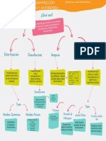 Mapa Conceptual Desinfección, Esterilización, Asepsia y Antisepsia