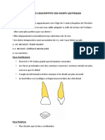 Anatomie Descriptive Des Dents Lactéales