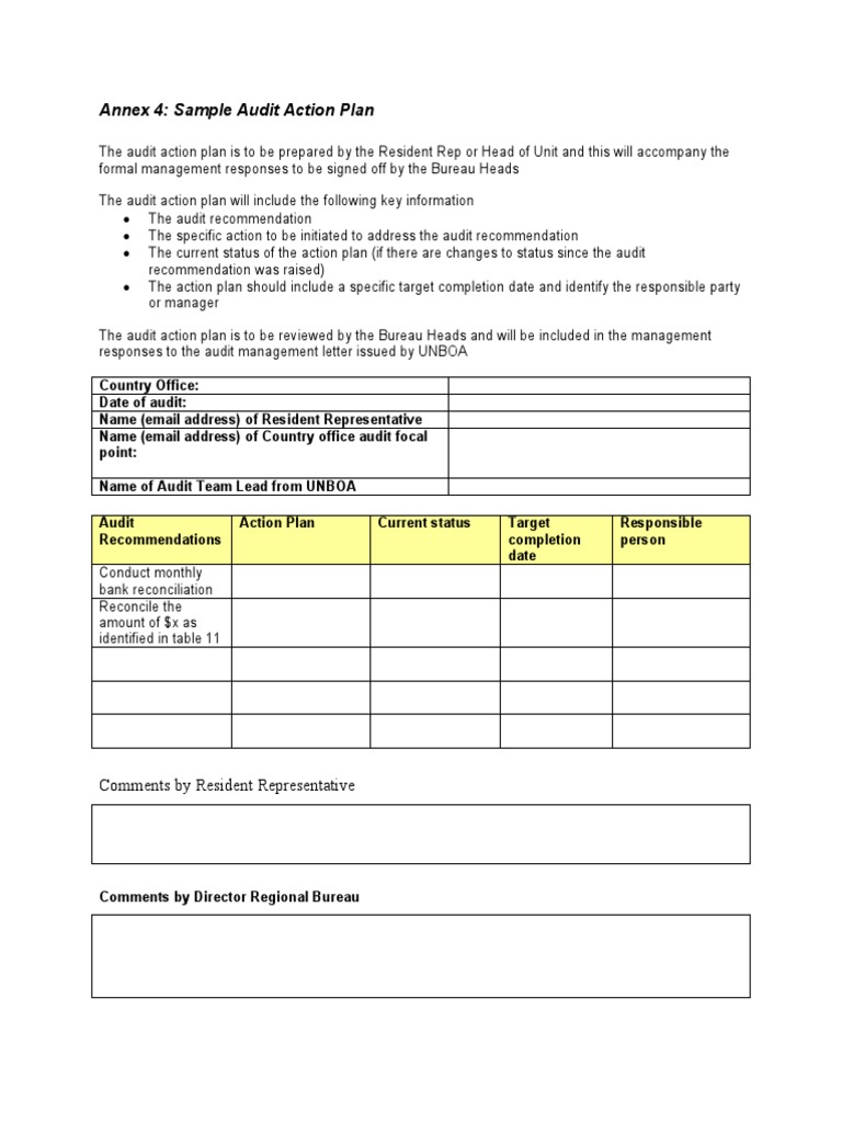 FRM - External Auditors - Annex 4 Sample Audit Action Plan | PDF