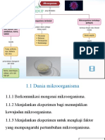 1.1 Dunia Mikroorganisma