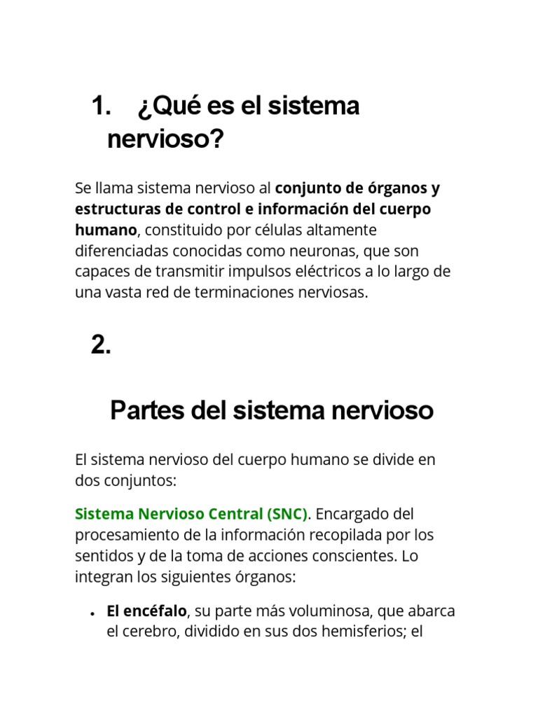 Qué Es El Sistema Nervioso Pdf