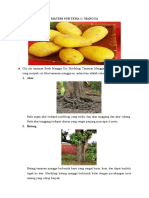 Bahan Ajar Tema Tanaman Sub Tema Tanaman Buah Topik Buah Mangga