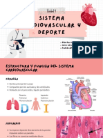 Sistema Cardiovascular