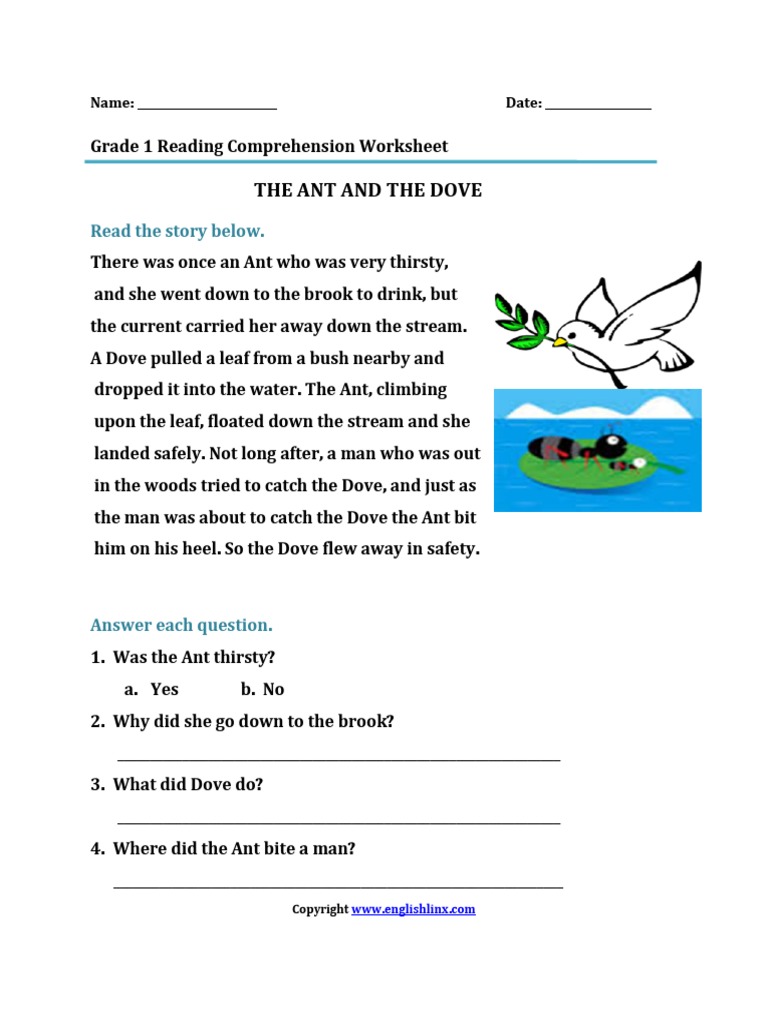 Reading Comprehension Grade 1 | PDF