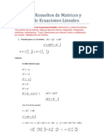 Matrices Sistemas (Ejercicios Resueltos