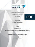 Principios Constitucionales Del Derecho Laboral