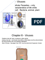 Virus Characteristic
