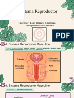 Semana 9 - Sistema Reproductor