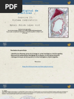 El Lavado de Cerebro de Las Marcas PDF | PDF | Sabor | El embarazo