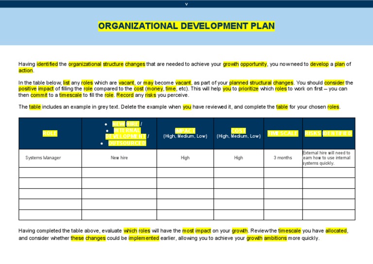 organizational development plan essay