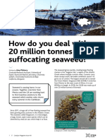 Article 2 How Do You Deal With 20 Million Tonnes of Suffocating Seaweed