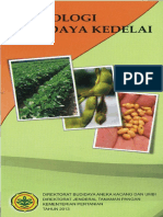 budidaya kedelai