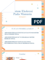 Sistem Ekreasi Pada Manusia