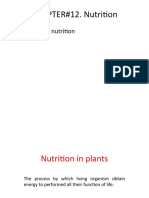 Nutrition (XI) in Plants