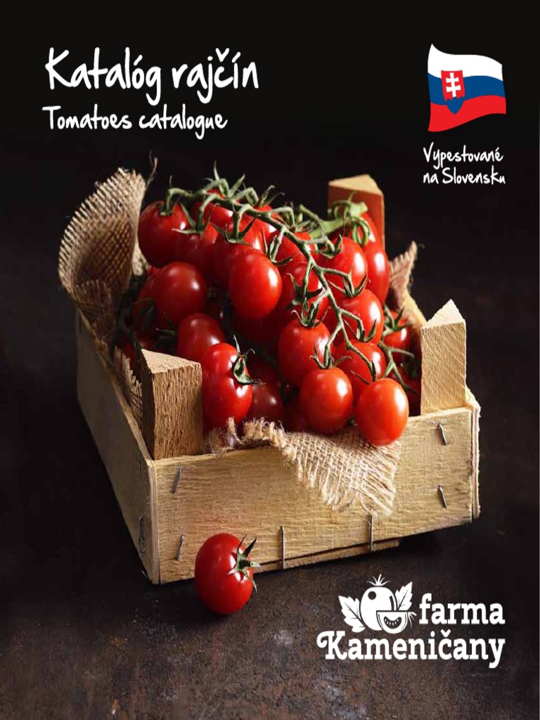 Katalog Rajcin | PDF