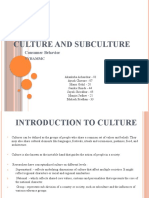 CULTURE AND SUBCULTURE: CONSUMER BEHAVIOR AND BELIEFS