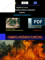 Organização de combate a incêndios florestais