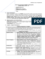 RPP Tema 5 Subtema 4