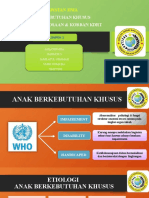 Anak Berkebutuhan Khusus (Autosaved)