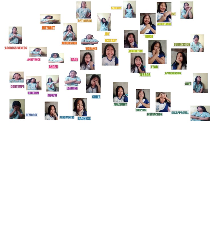 Emotion Wheel Free Printable