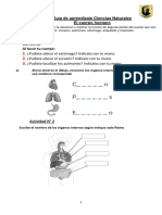 Guía aprendizaje órganos internos