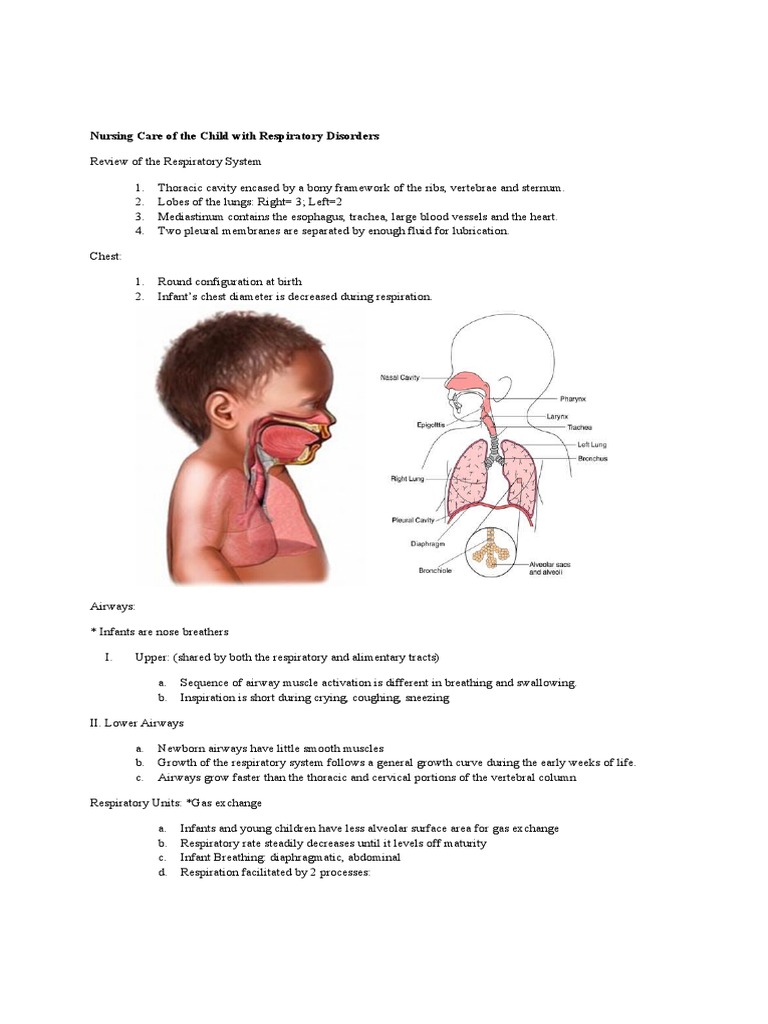 Nursing Care of The Child With Respiratory Disorders | PDF | Heart ...