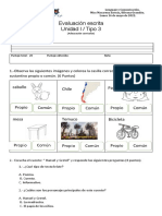 Evaluación - Adecuación Curricular - 2° Basico