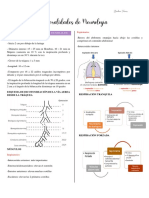 Generalidades de Neumología