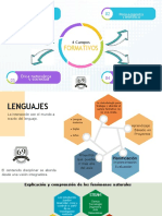 4 Campos Formativos