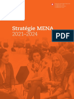 Strategie MENA 201014 FR